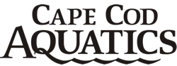 cape-cod-aquatics-logo-250